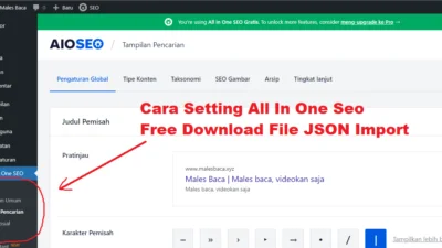 Cara Setting All In One Seo Plugin WordPress Terbaru Free Download Import JSON