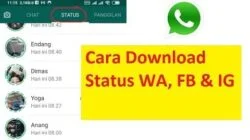 Cara Download Photo Video Status Whatsapp Facebook Instagram